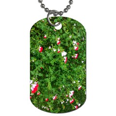 Red And White Park Flowers Dog Tag (one Side) by okhismakingart