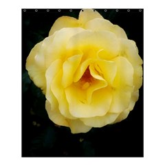 Pale Yellow Rose Shower Curtain 60  X 72  (medium)  by okhismakingart