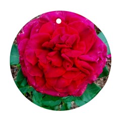 Folded Red Rose Round Ornament (two Sides) by okhismakingart