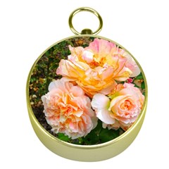 Bunch Of Orange And Pink Roses Gold Compasses by okhismakingart