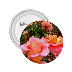 Pink Rose Field 2.25  Buttons