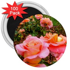 Pink Rose Field 3  Magnets (100 pack)