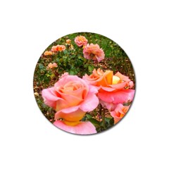 Pink Rose Field Magnet 3  (Round)