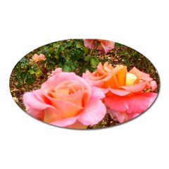 Pink Rose Field Oval Magnet