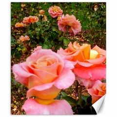 Pink Rose Field Canvas 20  x 24 