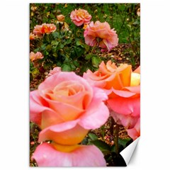 Pink Rose Field Canvas 20  x 30 