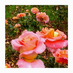 Pink Rose Field Medium Glasses Cloth (2-Side)