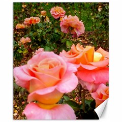 Pink Rose Field Canvas 11  x 14 