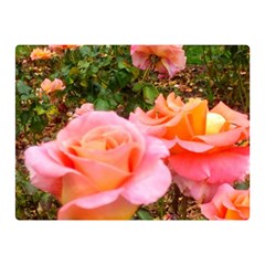 Pink Rose Field Double Sided Flano Blanket (Mini) 