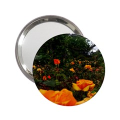 Orange Rose Field 2 25  Handbag Mirrors by okhismakingart