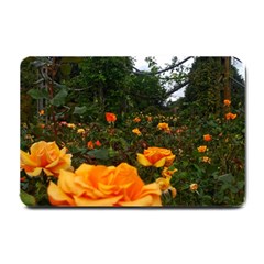 Orange Rose Field Small Doormat  by okhismakingart