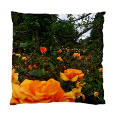 Orange Rose Field Standard Cushion Case (one Side) by okhismakingart