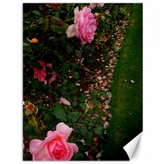Pink Rose Field (sideways) Canvas 36  X 48  by okhismakingart