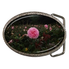 Pink Rose Field Ii Belt Buckles by okhismakingart