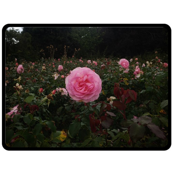 Pink Rose Field II Fleece Blanket (Large) 