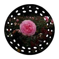 Pink Rose Field Ii Ornament (round Filigree) by okhismakingart