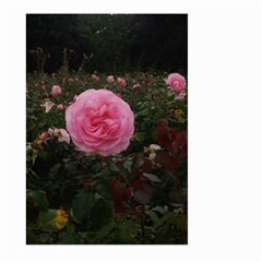 Pink Rose Field Ii Large Garden Flag (two Sides)
