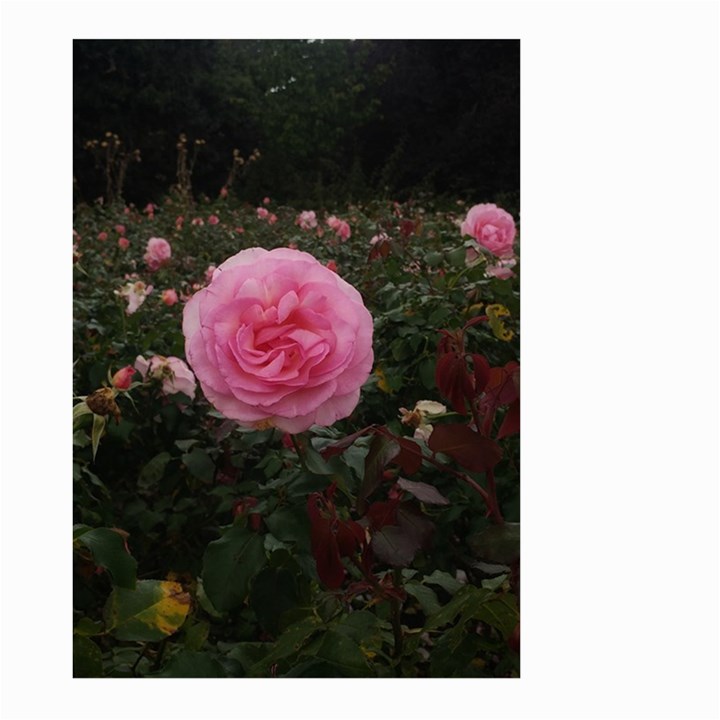 Pink Rose Field II Large Garden Flag (Two Sides)