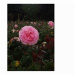 Pink Rose Field II Large Garden Flag (Two Sides) Back