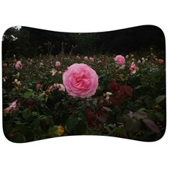 Pink Rose Field Ii Velour Seat Head Rest Cushion by okhismakingart