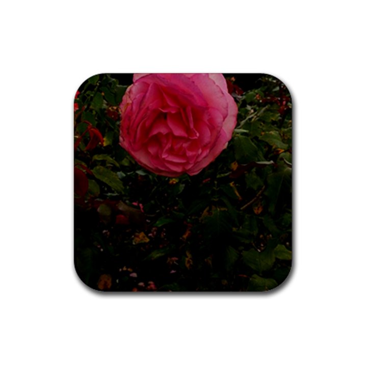 Round Pink Rose Rubber Coaster (Square) 