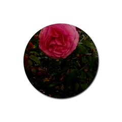 Round Pink Rose Rubber Round Coaster (4 Pack)  by okhismakingart