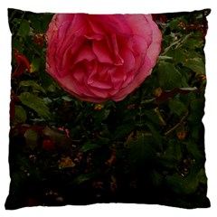 Round Pink Rose Large Cushion Case (one Side) by okhismakingart