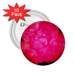 Single Geranium Blossom 2 25  Buttons (10 Pack) 