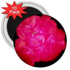 Single Geranium Blossom 3  Magnets (10 Pack) 