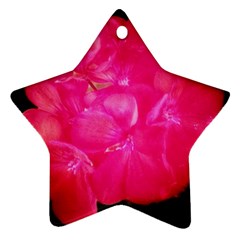Single Geranium Blossom Star Ornament (two Sides)