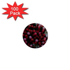 Floral Stars 1  Mini Magnets (100 Pack) 