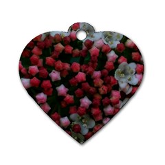 Floral Stars Dog Tag Heart (one Side)