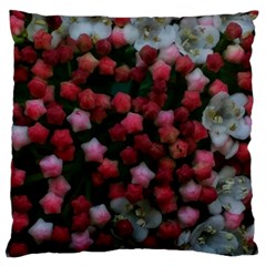 Floral Stars Standard Flano Cushion Case (one Side)