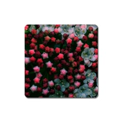 Floral Stars -bright Square Magnet by okhismakingart