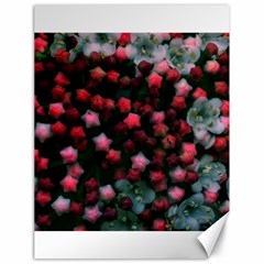 Floral Stars -bright Canvas 18  X 24  by okhismakingart