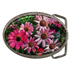 Pink Asters Belt Buckles by okhismakingart