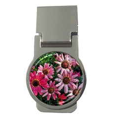 Pink Asters Money Clips (round)  by okhismakingart