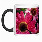 Pink Asters Morph Mugs Left