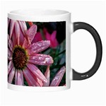 Pink Asters Morph Mugs Right