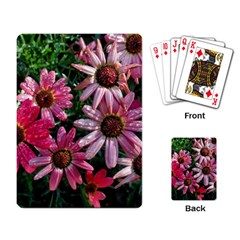 Pink Asters Playing Cards Single Design by okhismakingart