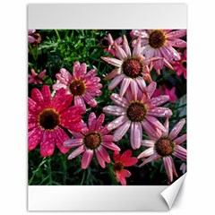 Pink Asters Canvas 18  X 24  by okhismakingart