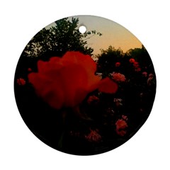 Rose Landscape Ornament (Round)