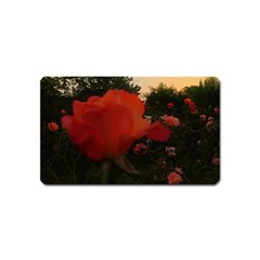 Rose Landscape Magnet (Name Card)