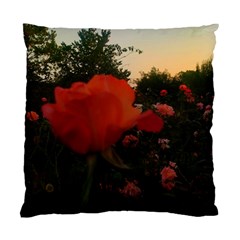 Rose Landscape Standard Cushion Case (One Side)