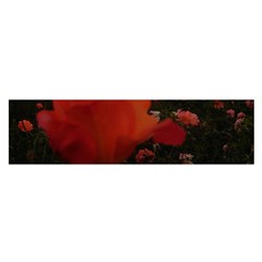 Rose Landscape Satin Scarf (Oblong)