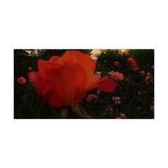 Rose Landscape Yoga Headband