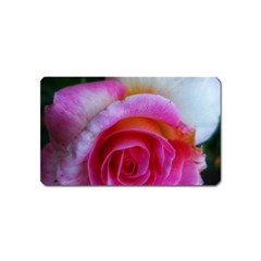 Spiral Rose Magnet (name Card) by okhismakingart