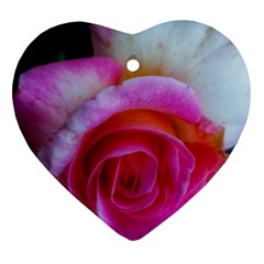 Spiral Rose Heart Ornament (two Sides) by okhismakingart