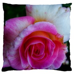 Spiral Rose Large Cushion Case (two Sides) by okhismakingart