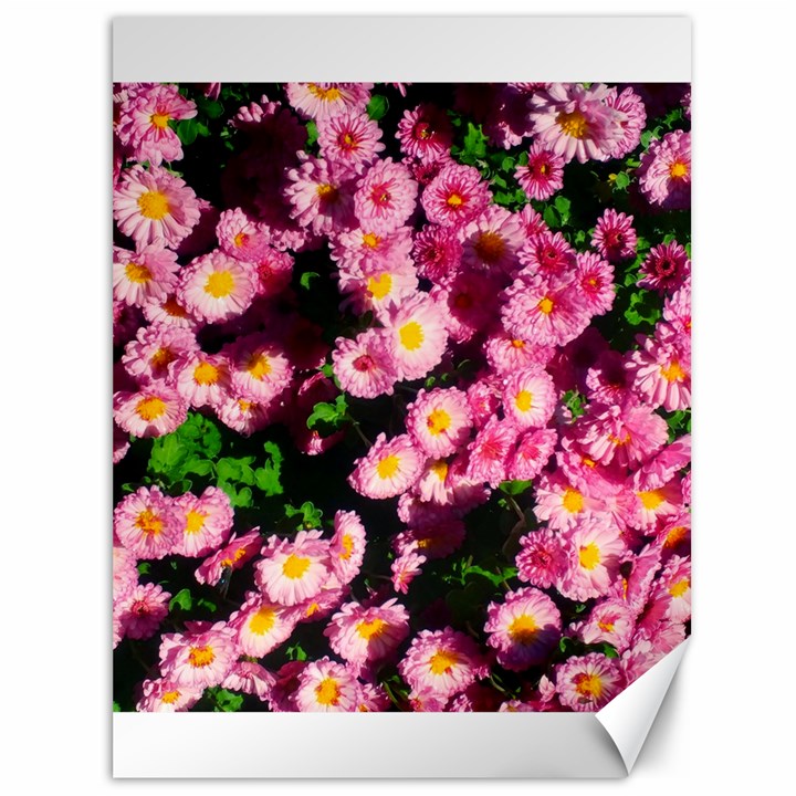 Pink Flower Bushes Canvas 36  x 48 